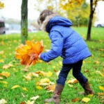 Girl in blue coat picks up fall yellow and orange leaves outdoors