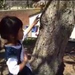 child looking closely at a tree