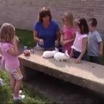 teacher shows children some rabbits