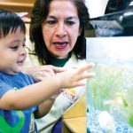 adult encourages child to look at fish in tank